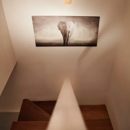 Casa Cofete * מורו דל חאבלה